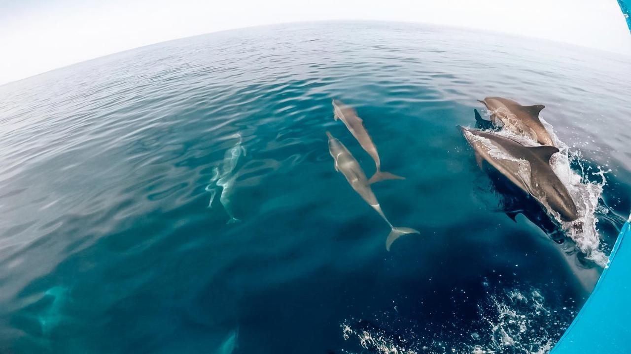 Bliss Dhigurah Ξενοδοχείο Dhigurah  Εξωτερικό φωτογραφία