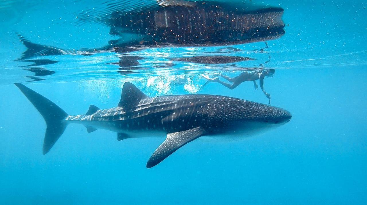 Bliss Dhigurah Ξενοδοχείο Dhigurah  Εξωτερικό φωτογραφία